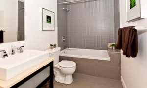 Bathroom Remodeling Services in USA