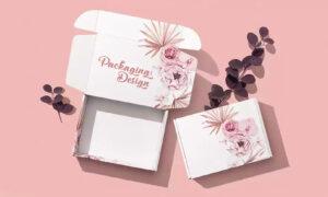 earring boxes