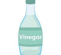 How to Get Rid of Gnats in House with White Vinegar