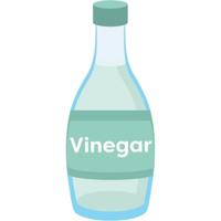 How to Get Rid of Gnats in House with White Vinegar