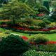 Best Landscaping Services in New Kent VA