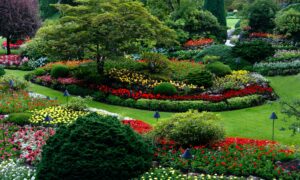 Things To Consider About Landscape Installation Services In Prairieville LA
