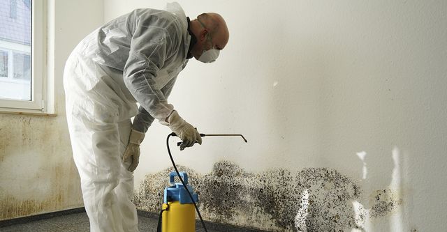 Mold Removal Services In Sayreville NJ