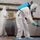 Pest Control service in Riverside CA