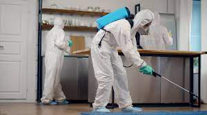 Pest Control service in Riverside CA