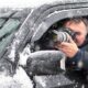 Qualities of Professionals Providing Private Investigation Services in Miami FL
