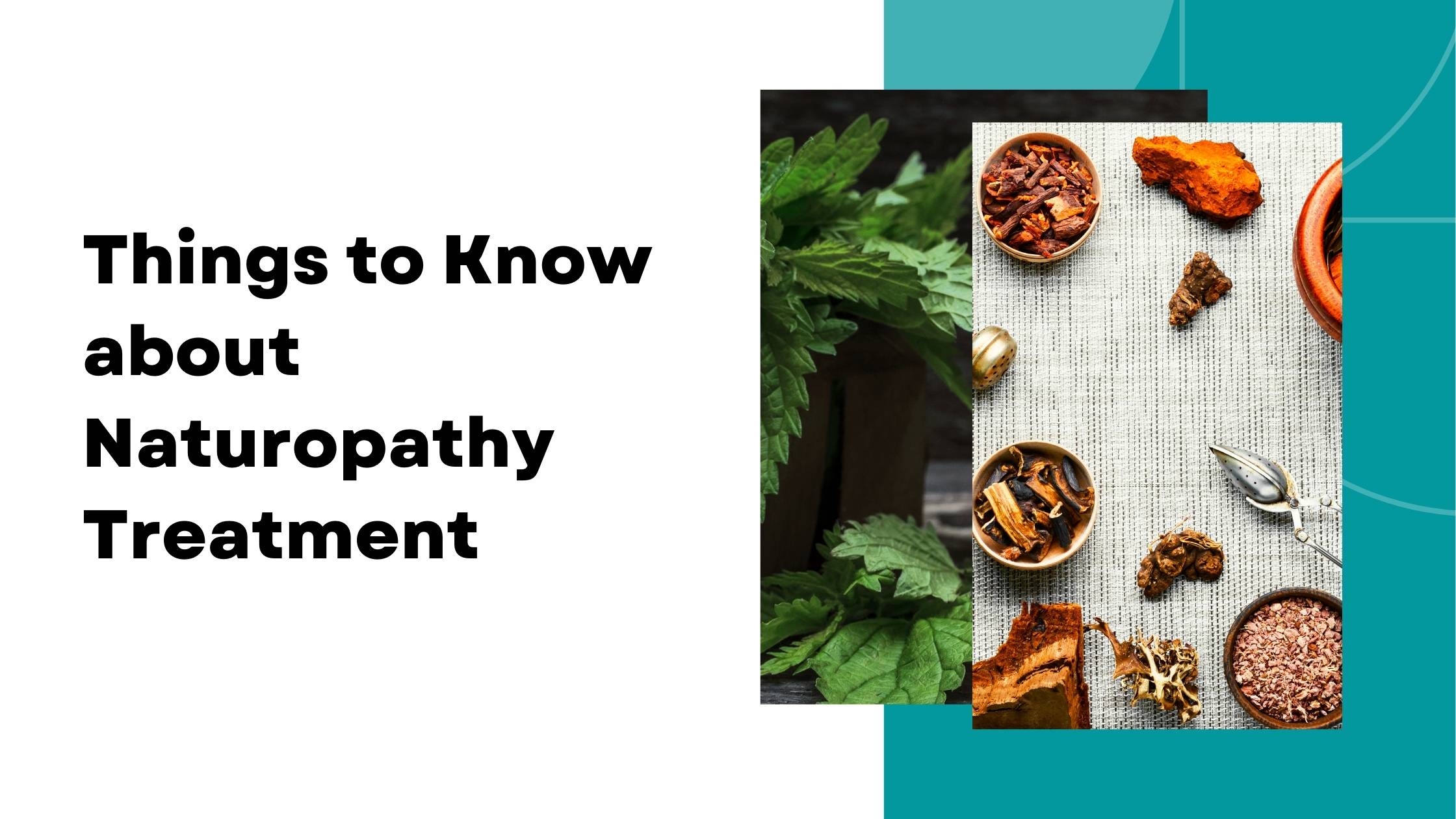 Things-to-Know-about-Naturopathy-Treatment