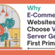Why E-Commerce Websites Choose VPS Server Germany First Primacy