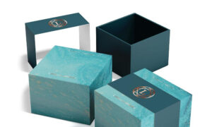 Rigid Boxes