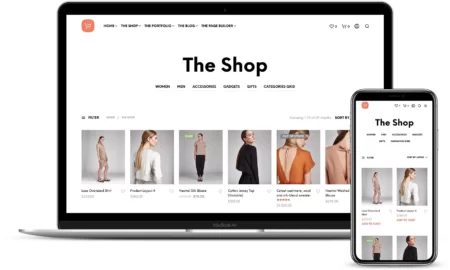 Best Ecommerce Themes For Any Online Business