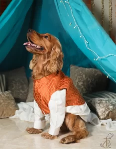 dog kurta