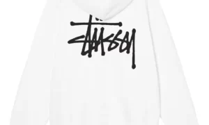 BASIC STUSSY HOODIE