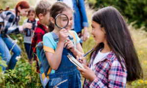 How to Plan Educational Outings for Family Fun