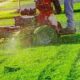 Mistakes To Avoid When Hiring Lawn Care Services Summerville SC