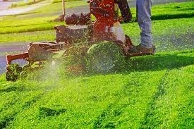 Mistakes To Avoid When Hiring Lawn Care Services Summerville SC