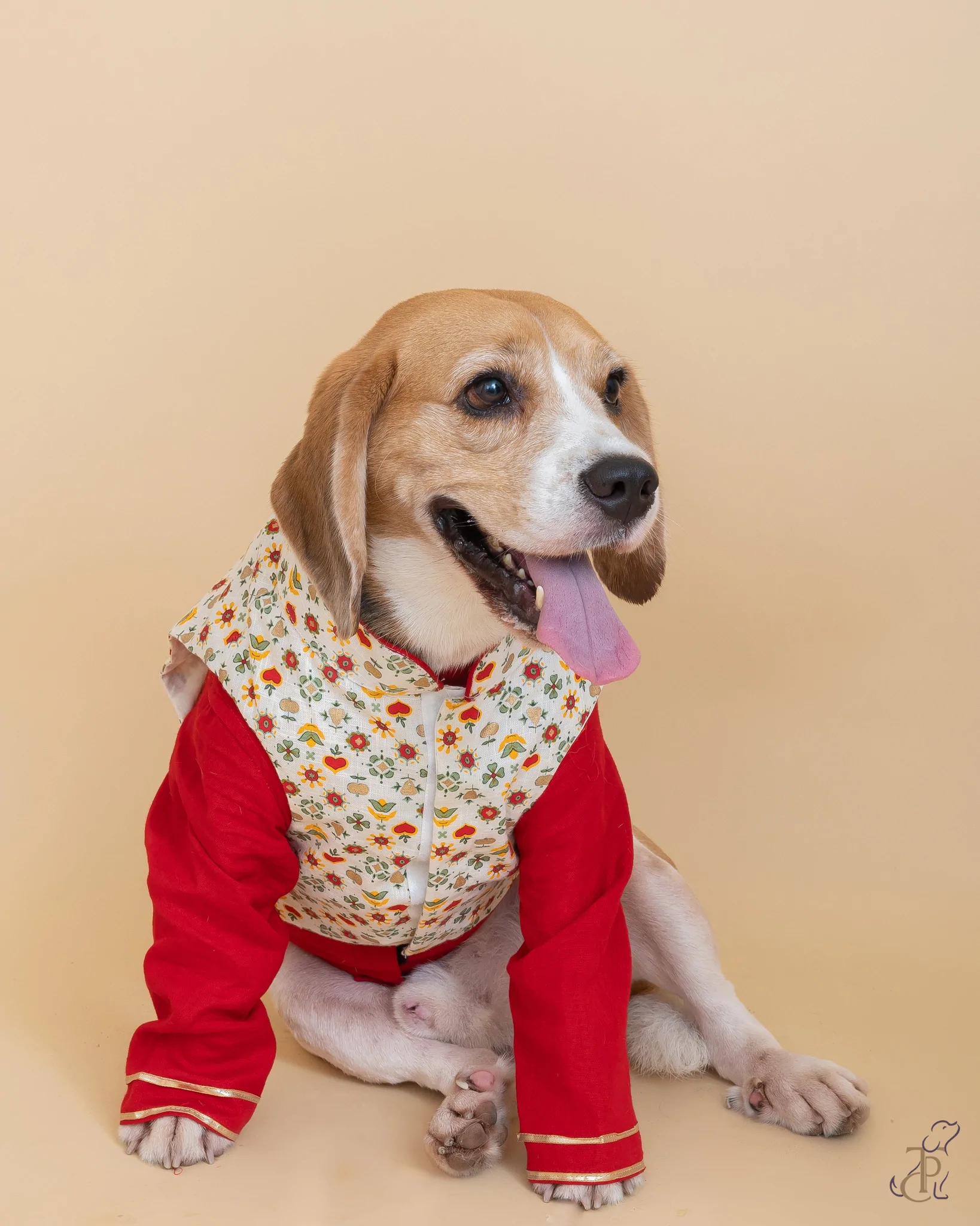 dog kurta