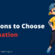 Reasons to Choose Animation