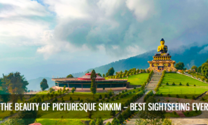 Sikkim sightseeing packages