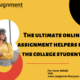 online assignment help