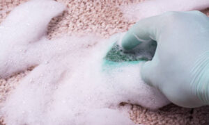 deep rug cleaners hong kong