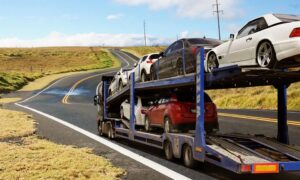 packers and movers
