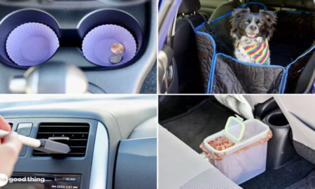 6 Accessories for Keeping Your Car Organized