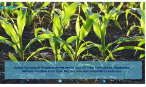 Agricultural Microbial Market