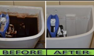 Clean a Toilet Tank Image