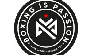 boxing gloves