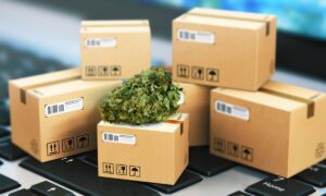 A image of Marijuana Boxes
