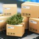 A image of Marijuana Boxes