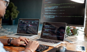Software Developer