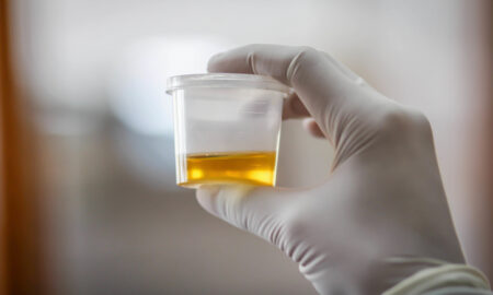 Laboratory