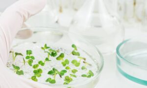 Cellcore biosciences