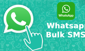 How to Send Bulk Messages at Once On WhatsApp? - TechCrums
