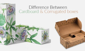 Cardboard Boxes