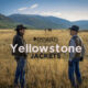 Yellowstone Merchandise