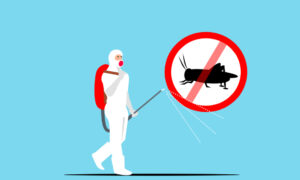 How to use Spray for Pest Control