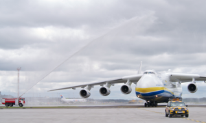 custom clearance of export and import cargo