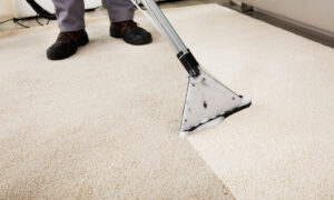 carpet retailer in Hong Kong