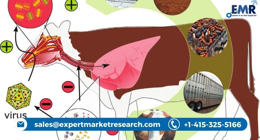 Bovine Respiratory Disease Treatment Market