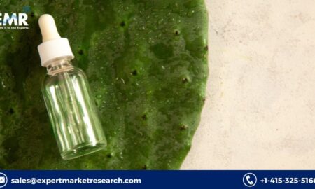 Anti-Reflective Coatings Market