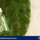 Cactus Water Market