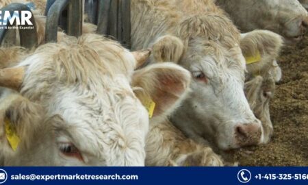 Direct Fed Microbial Market