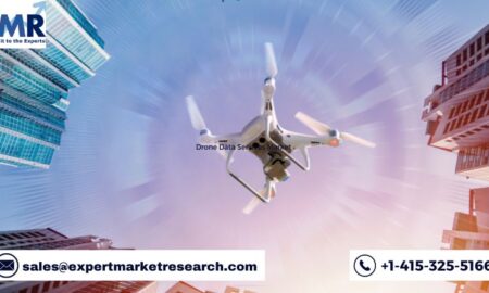 Drone Data Services Market