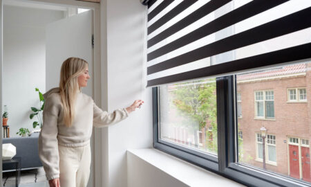 Smart Window Blinds