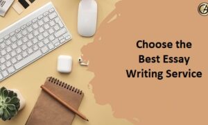 Essay writing service