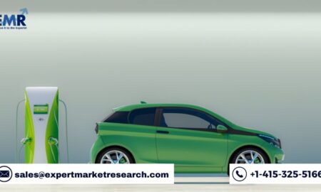 India Electric Passenger Cars Market