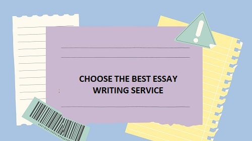 essay writing service