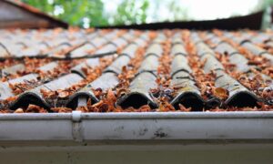 Gutter Cleaners In Perth